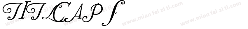 TITLCAPS字体转换