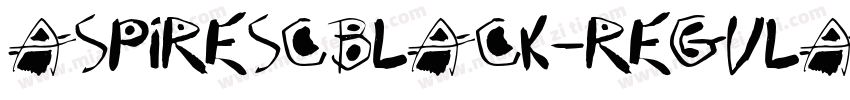 AspireSCBlack-Regula字体转换