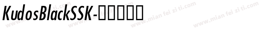 KudosBlackSSK字体转换
