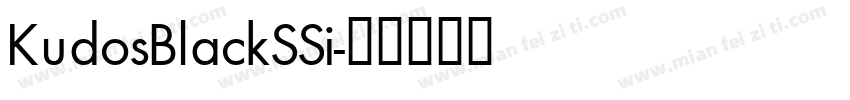KudosBlackSSi字体转换