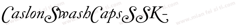 CaslonSwashCapsSSK字体转换