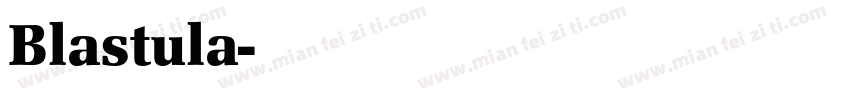 Blastula字体转换