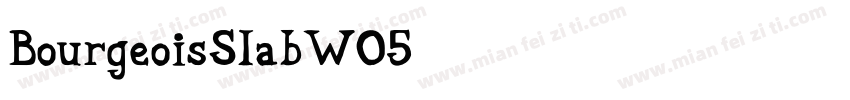 BourgeoisSlabW05字体转换