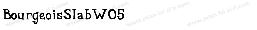 BourgeoisSlabW05字体转换