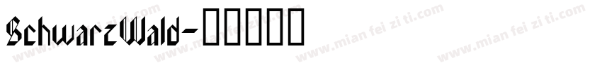 SchwarzWald字体转换