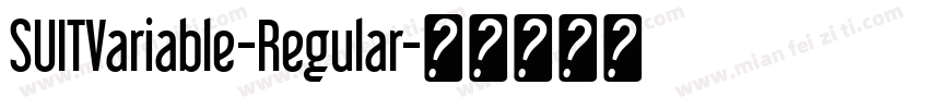 SUITVariable-Regular字体转换