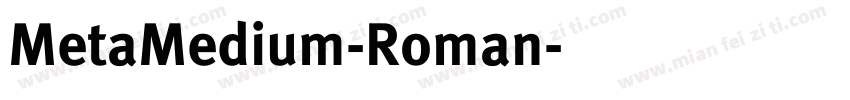 MetaMedium-Roman字体转换