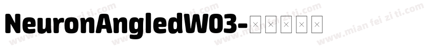 NeuronAngledW03字体转换
