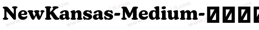 NewKansas-Medium字体转换