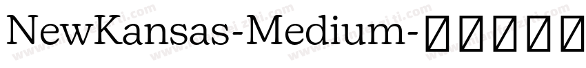 NewKansas-Medium字体转换
