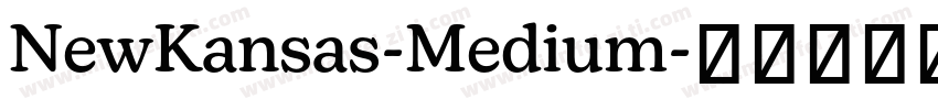 NewKansas-Medium字体转换