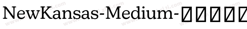 NewKansas-Medium字体转换