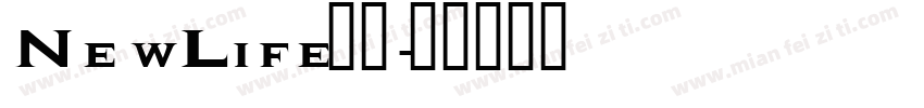 NewLife字体字体转换