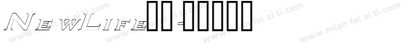 NewLife字体字体转换