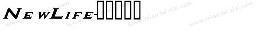 NewLife字体转换