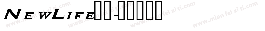 NewLife字体字体转换