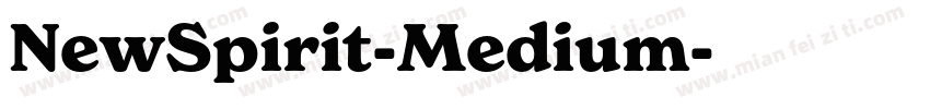 NewSpirit-Medium字体转换