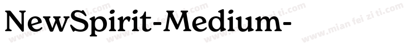 NewSpirit-Medium字体转换