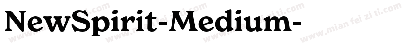 NewSpirit-Medium字体转换
