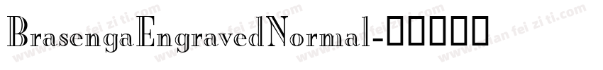 BrasengaEngravedNormal字体转换