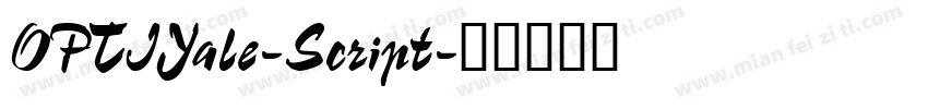OPTIYale-Script字体转换