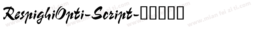 RespighiOpti-Script字体转换