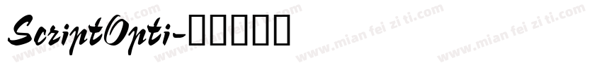 ScriptOpti字体转换
