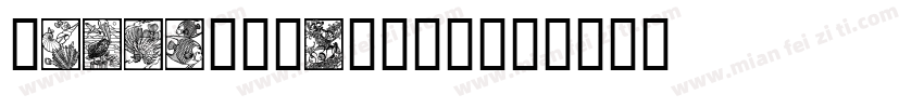 OceanrushDEMD字体转换