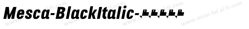 Mesca-BlackItalic字体转换
