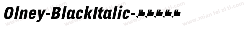 Olney-BlackItalic字体转换