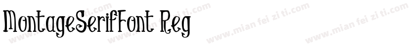 MontageSerifFont-Reg字体转换