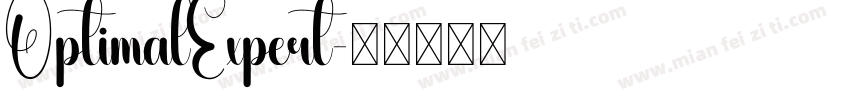 OptimalExpert字体转换
