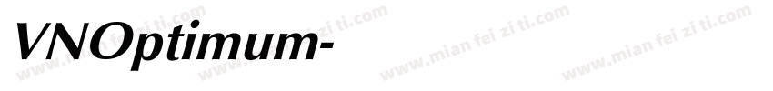 VNOptimum字体转换