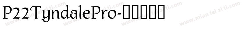 P22TyndalePro字体转换