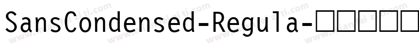 SansCondensed-Regula字体转换