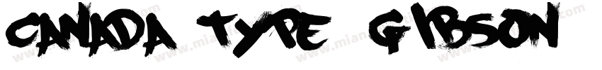 canada-type-gibson字体转换