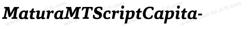 MaturaMTScriptCapita字体转换