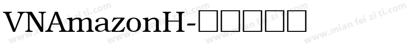 VNAmazonH字体转换