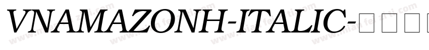 VNAmazonH-Italic字体转换