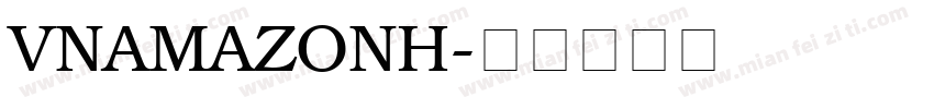 VNAmazonH字体转换