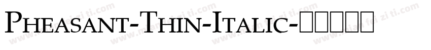 Pheasant-Thin-Italic字体转换