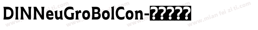 DINNeuGroBolCon字体转换