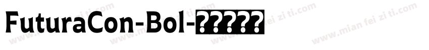 FuturaCon-Bol字体转换