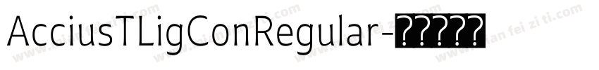 AcciusTLigConRegular字体转换