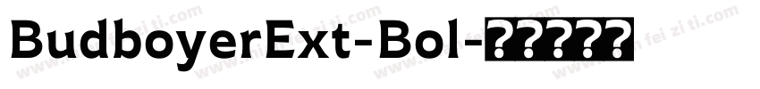 BudboyerExt-Bol字体转换