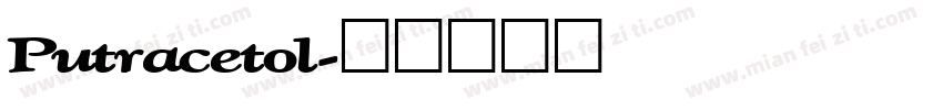 Putracetol字体转换