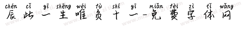 辰此一生唯负十一字体转换