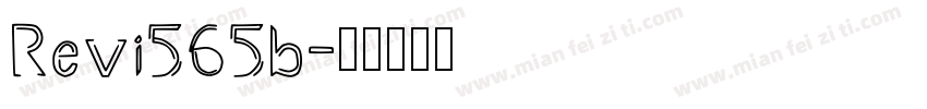 Revi565b字体转换