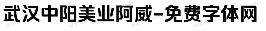 武汉中阳美业阿威字体转换