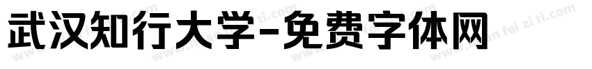 武汉知行大学字体转换